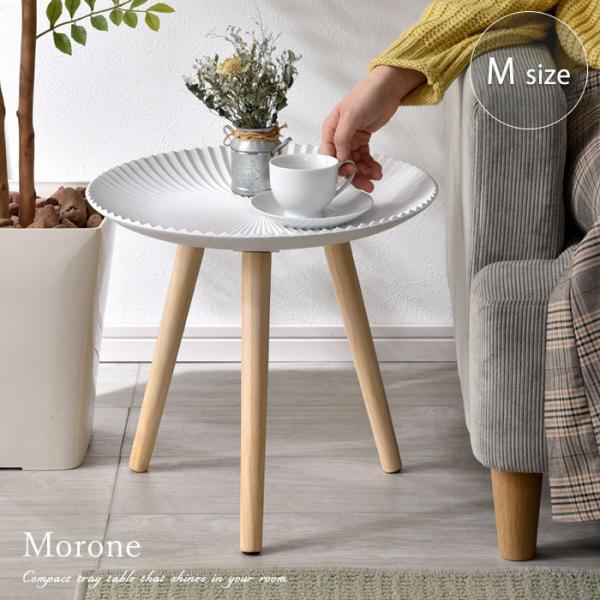 TChe[u   k ؐ 40cm  zCg  AeB[N bR CeA G VR X ~je[u l炵