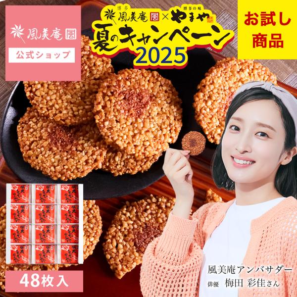 博多明太えびせんべい48枚入り 風美庵お試しシリーズ 送料無料 えびせんべい 和菓子 博多明太子使用 お試し スイーツ お菓子 メール便発送 Mailbin F 8105z5 博多風美庵 Yahoo ショッピング店 通販 Yahoo ショッピング