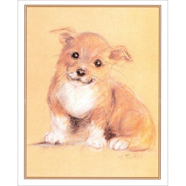 グリーティングカード Corgi Puppy 輸入雑貨 ターシャ テューダー レターパックライト対応 Buyee Buyee Japanese Proxy Service Buy From Japan Bot Online