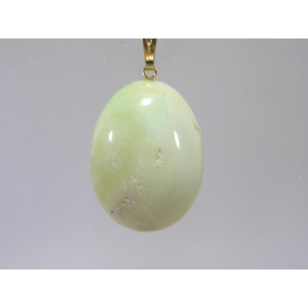 N\v[Yi΋ʐj΂̃y_ggbv  200610-6  V쓰