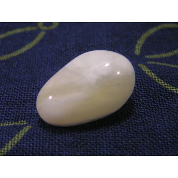 imEj ̌  ^u VR  p[Xg[  200924-10  V쓰