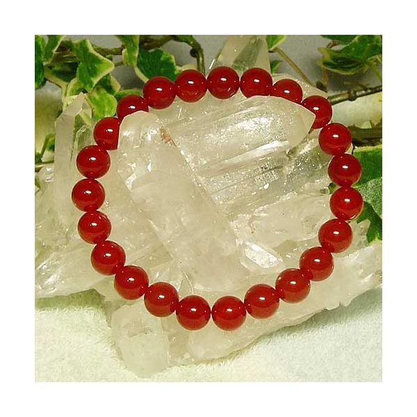 p[Xg[VR΂̃J[lAiԃmEAgʐj̊ۋʃuXbg[W] ЂĂƂĂ邨