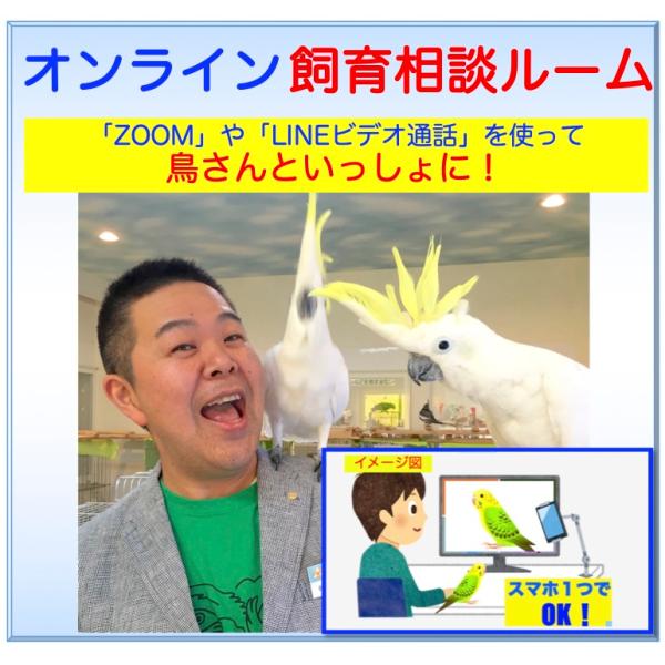 【￥5,500以上お買い上げで送料無料！】北海道, 東北, 沖縄 地域は、￥7,700以上のお買い上げで送料無料になります。鳥さんのお困りごと、ご相談ごと、それだけじゃなく、鳥さんとモット仲良くなりたい方も、ライトでポップな内容から、まあま...