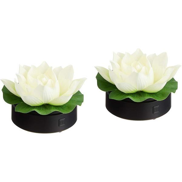 ロータス 蓮花 はすはな 白 一対 Ds ふわふわり 通販 Yahoo ショッピング