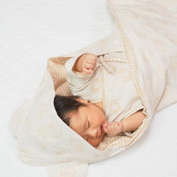 t[ht˂݁bI[KjbNRbgb{b