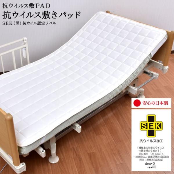 [Release date: January 15, 2021]爆買