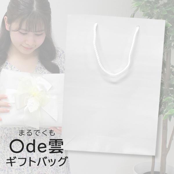 手提げ紙袋(まるで雲ギフト専用)　-xx