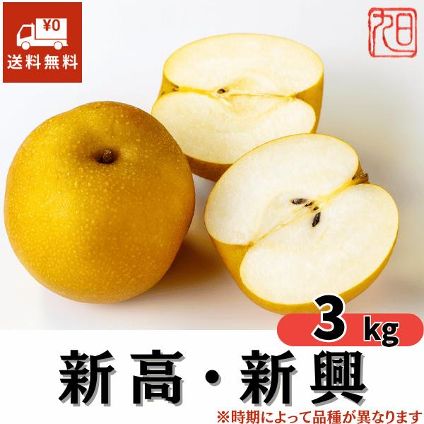梨 3kg 贈答用 新高 新興 新潟県産 旭ファーム 白根大郷 産地直送 ギフト 残暑見舞い
