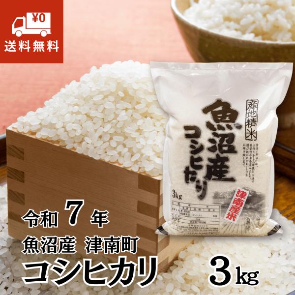 魚沼産コシヒカリ 令和7年産 3kg 新潟 津南町 お米 白米 お中元2026