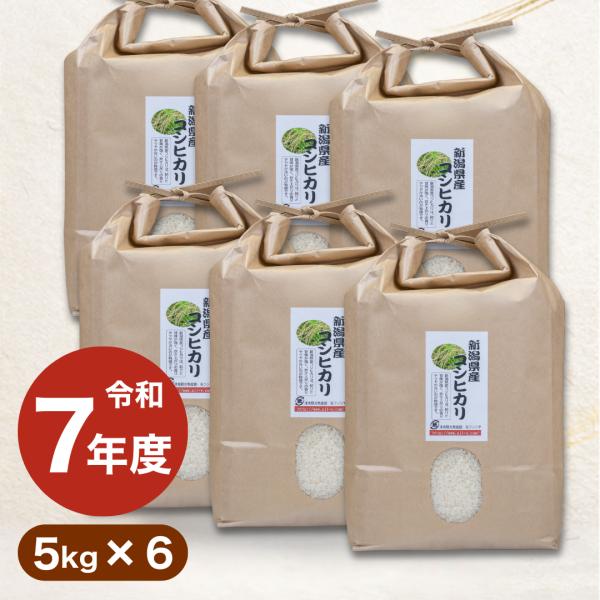 米 コシヒカリ 新潟県産 30kg 5kg×6袋 令和7年産 お米 白米