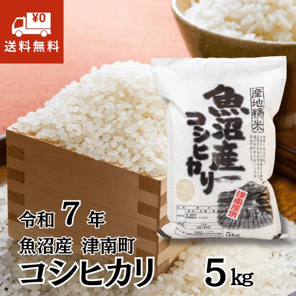 玄米 令和7年産 魚沼産 コシヒカリ 5kg 魚沼産 津南町 お米
