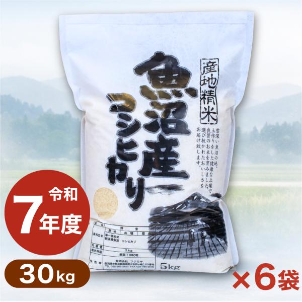 魚沼産コシヒカリ 令和7年産 30kg 米5kg×6袋 新潟 お米 白米 産地直送