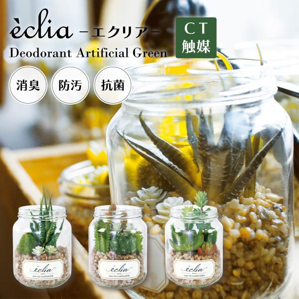 g-7netstore_kis-eclia01