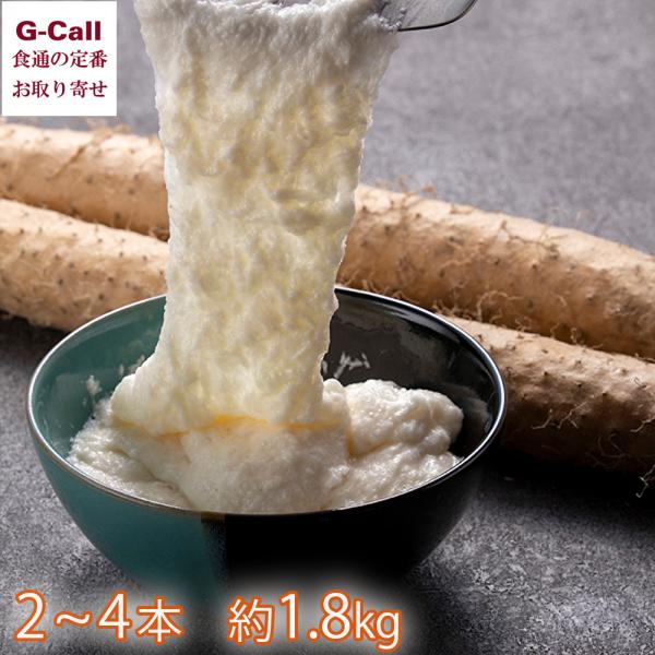 【注意】収穫状況や生育状況によっては、出荷が遅れる場合がございます。あらかじめご了承ください。申込受付：7月31日11時までお届け期間：8月上旬まで※お届け日のご指定は承ることができません。※お届け日は目安です。商品出荷後はキャンセル不可と...