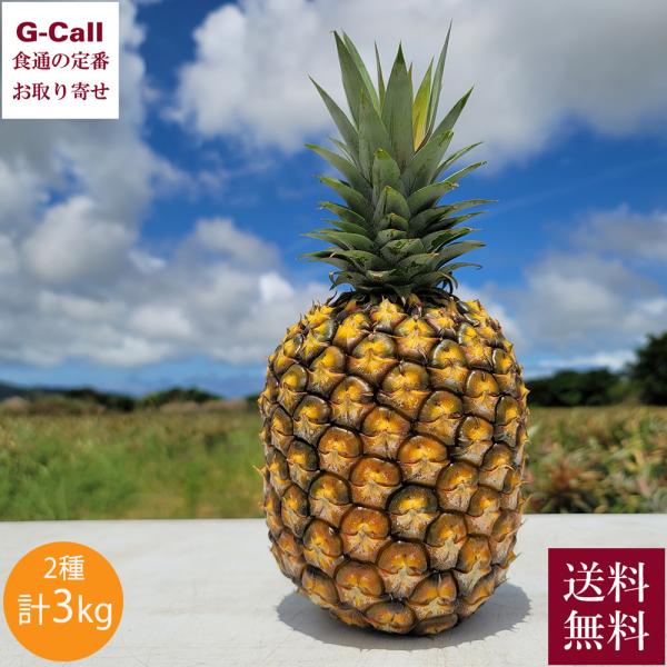 お値下げ中☆紫宙 杉玉・チェリー・パイナップル 720ml 3本セット 石垣島産パイナップル 3玉（約3kg） - 沖縄ちゅら企画WEBショップ