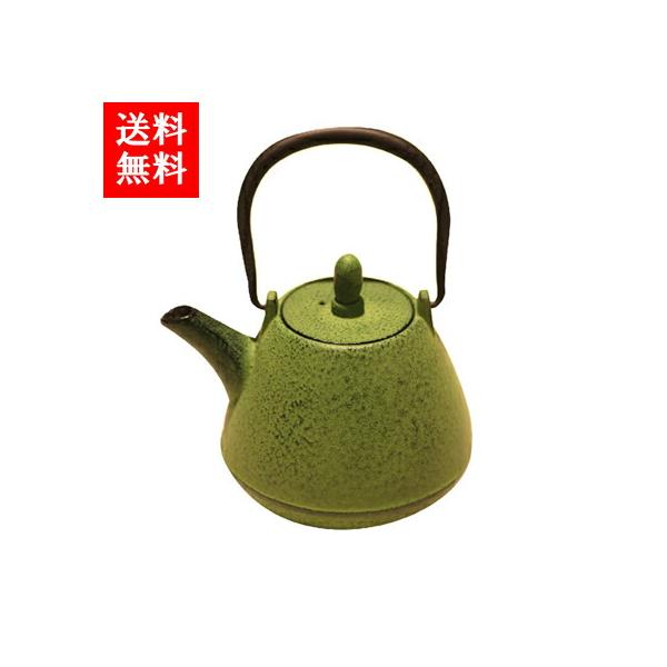 ロジアソシエイツ 南部鉄器 Roji カラー急須 ドーム型肌 芽吹き 黒