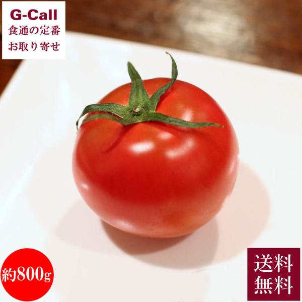 【注意】収穫状況や生育状況によっては、出荷が遅れる場合がございます。あらかじめご了承ください。申込受付：4月24日11時までお届け期間：2月上旬〜5月上旬※お届け日のご指定は承ることができません。※お届け日は目安です。商品出荷後はキャンセル...