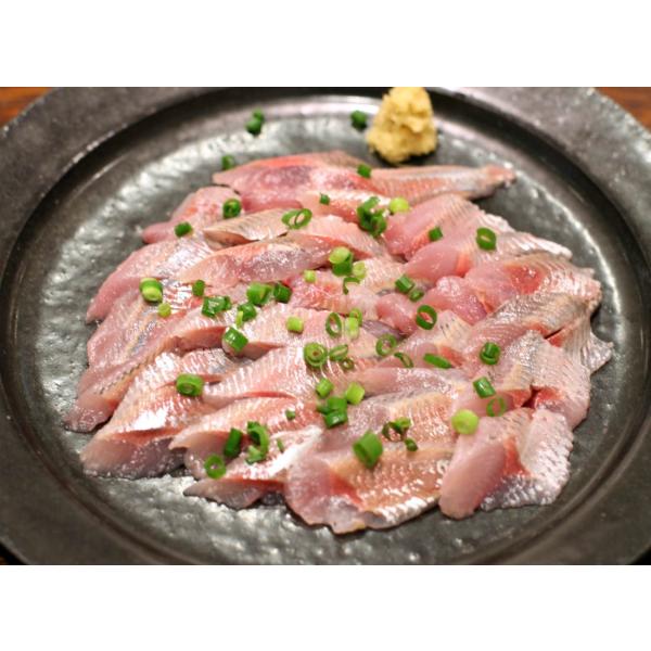 一本釣りうるめいわし 日本正規品 鮮魚1kg 10から15匹 高知 イワシ 鰯 宇佐もん工房