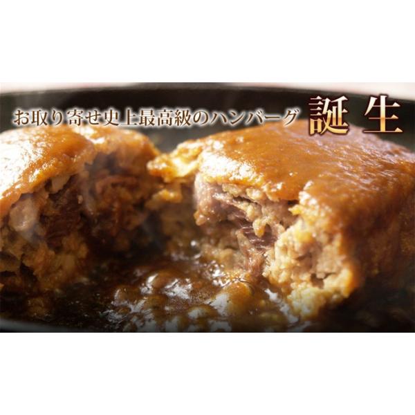 送料無料 松阪牛レマン 松阪牛100 プレミアムハンバーグ 8個セット Aqua Pur Ro