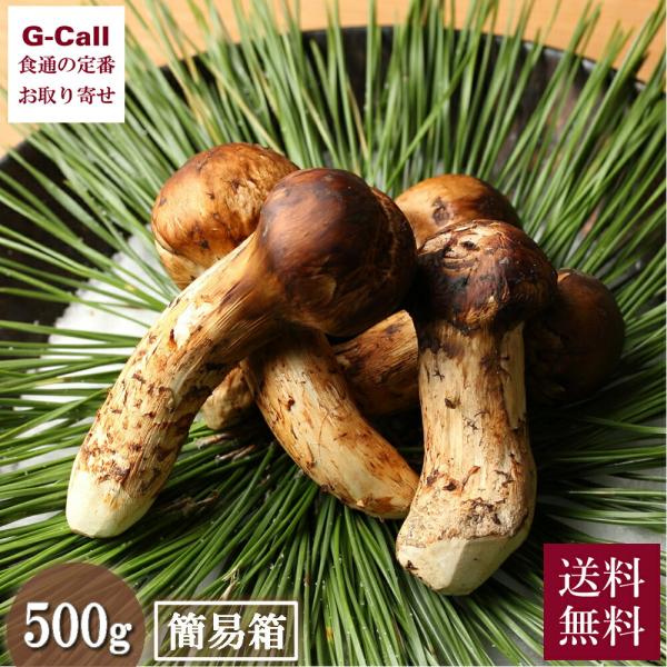 松茸　プンプイ様用 g-call_44565