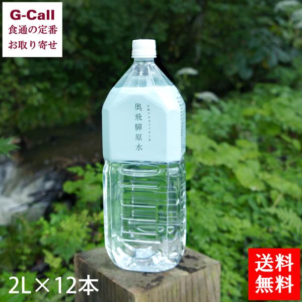 奥飛騨原水 2L 12本 送料無料 ミネラルウォーター 岐阜 タンナカ高原 ブナ原生林 生産者直送 天然アルカリイオン水 財団法人日本ウエルネス協会