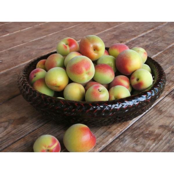 寺谷農園 送料込 寺谷家の梅干し はちみつ南高梅 塩分約6 5 500ｇ