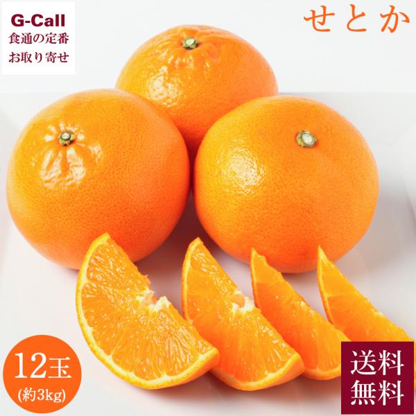 g-call_52352 g-call_52352