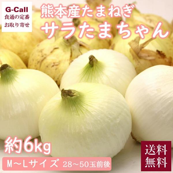 【注意】収穫状況や生育状況によっては、出荷が遅れる場合がございます。あらかじめご了承ください。申込受付：4月3日11時までお届け期間：3月中旬〜4月上旬頃※お届け日のご指定は承ることができません。※お届け日は目安です。商品出荷後はキャンセル...