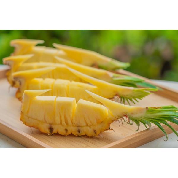 注目ブランド スナックパイン ボゴール 約5 5kg 8 9個入 減農薬栽培 沖縄西表島 国産パイナップル アララガマ農園