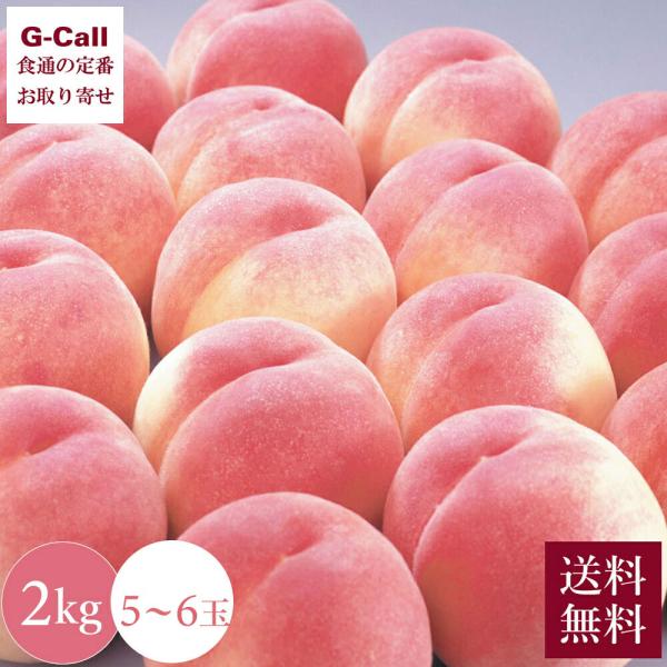 マルサフルーツ 山梨の白桃 約2kg 大玉 5〜6玉 化粧箱入 7月中旬