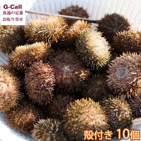 申込受付：2026年2月27日11時まで発送期間：2026年3月中旬まで予定　※指定日は2026年3月10日まで※お届け希望日がある場合は、ストアへのご要望にお申込日より8日目以降でご記載ください。釧路地方の最東端・浜中町の海で育った天然昆...