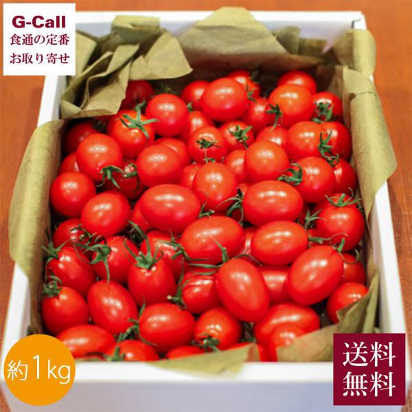 【注意】収穫状況や生育状況によっては、お届けが前後する場合がございます。あらかじめご了承ください。申込受付：2026年5月15日11時まで出荷期間：12月上旬〜5月下旬※お届け日のご指定は承ることができません。※お届け日は目安です。商品出荷...