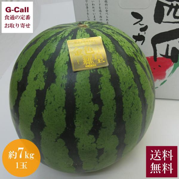 熊本産 春スイカ 金色羅皇 1玉 約7kg 5月中旬〜6月上旬出荷 指定日不可 送料無料 果物 すいか 西瓜 超高糖度 ギフト 贈答 プレゼント 黄色 スイカ 旬 お取り寄せ