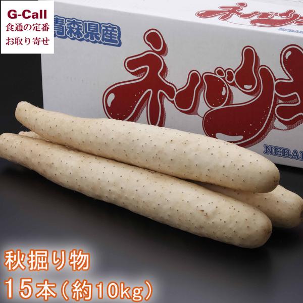 ★【注意】収穫状況や生育状況によっては、発送が遅れる場合がございます。あらかじめご了承ください。申込受付：3月20日までを予定発送期間：11月下旬〜3月下旬までを予定「ネバリキング」はながいもと大和芋を掛け合わせた「ネバリスター」という品種...