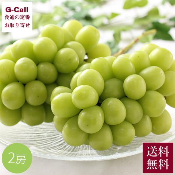 岡山産 晴王 ハウス栽培 2房 計約1.2kg 7月上旬から8月中旬出荷 指定日不可 送料無料 フルーツ シャインマスカット 葡萄 生産者直送 大粒 高糖度 お取り寄せ