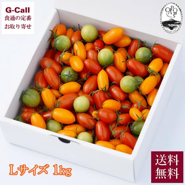 [Release date: December 5, 2025]【注意】収穫状況や生育状況によっては、お届けが前後する場合がございます。あらかじめご了承ください。申込受付：2026年6月5日11時まで発送期間：12月上旬〜2026年6月中旬...