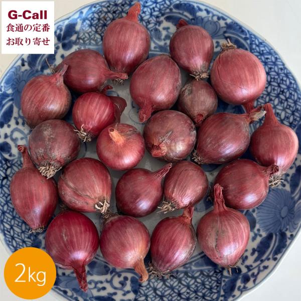 [Release date: October 25, 2025]★【注意】収穫状況や生育状況によっては、発送が遅れる場合がございます。あらかじめご了承ください。申込受付：2026年1月30日11時まで発送期間：10月下旬〜2026年2月上旬...