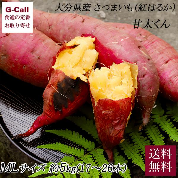 【注意】収穫状況や生育状況によっては、出荷が遅れる場合がございます。あらかじめご了承ください。申込受付：3月27日11時までお届け期間：1月中旬〜4月上旬まで※お届け日のご指定は承ることができません。※お届け日は目安です。商品出荷後はキャン...