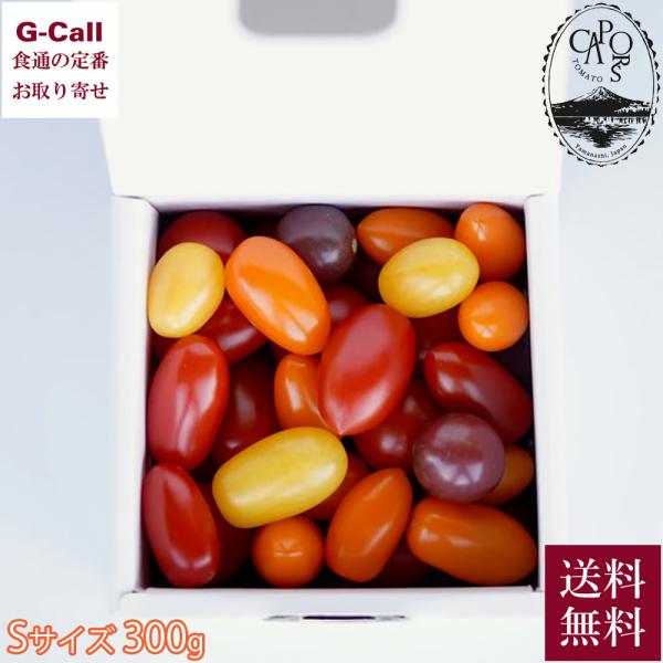 とまと様 Mummy-D vs DOTAMA【DOTAMA 2マンLIVE「社交辞令 vol.38」】に