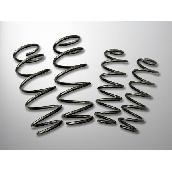 CHUHATSU PLUS チューハツプラス〈マルチロード〉トヨタ プリウス