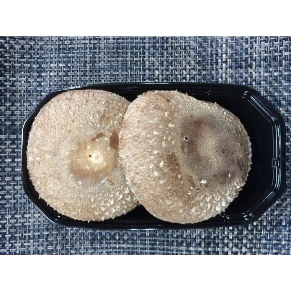 阿波の天恵こ　２入り小パック