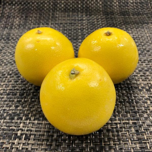 ジャクソンフルーツ　１kg