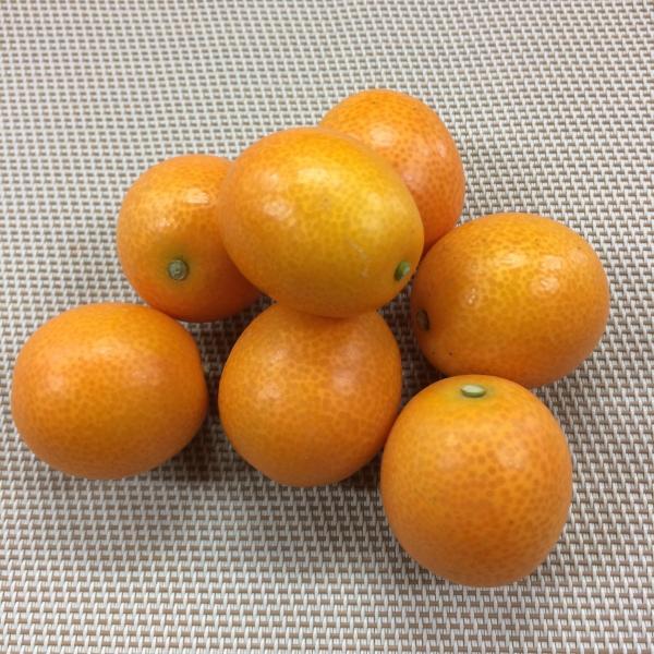 完熟金柑「たまたま」宮崎県産　2L　300ｇ