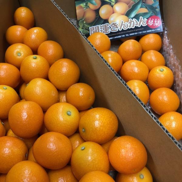 金柑ステビア栽培　鹿児島県産　2L　