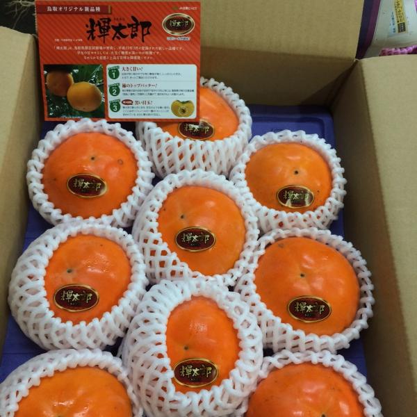 輝太郎柿　２個　秀品