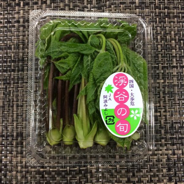 こしあぶら　１ｐｃ 国産