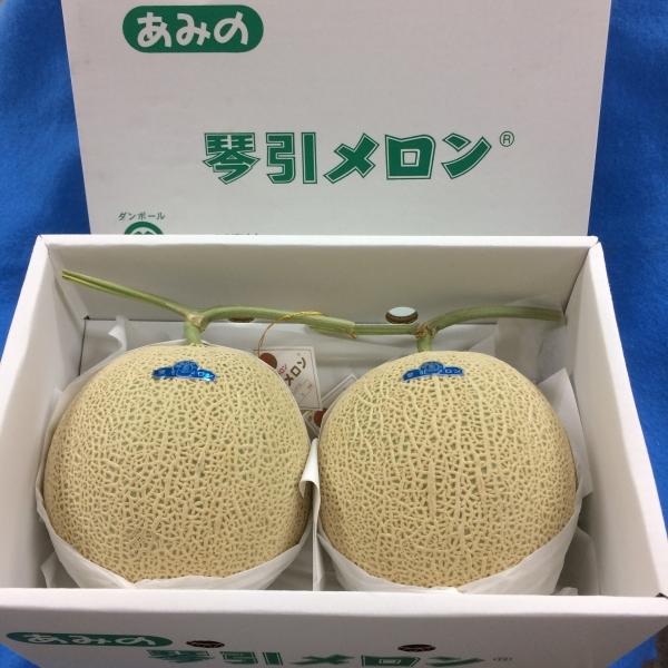 JA京都あみの琴引メロン　１ケース「琴」2L　（２ヶ入り）　