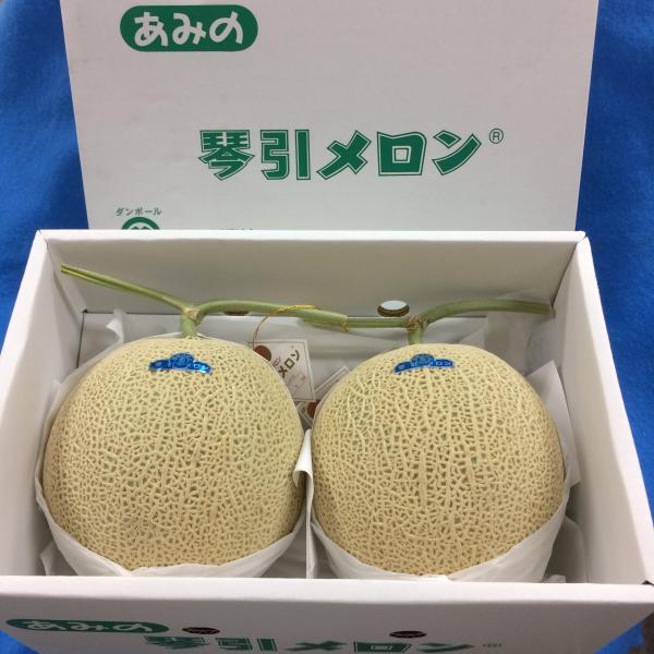 JA京都あみの琴引メロン 1ケース「琴」3L （2ヶ入り） : G-five