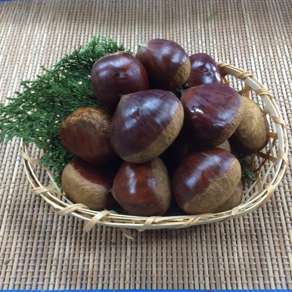 愛媛産　栗　特選4L　1ネット