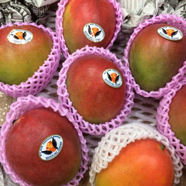 メキシコ産マンゴー １ヶ Buyee Buyee 日本の通販商品 オークションの代理入札 代理購入